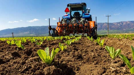 Pull-Behind Mechanical Weeders