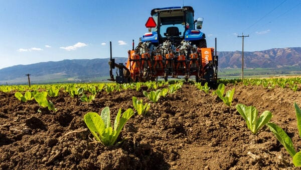 Pull-Behind Mechanical Weeders
