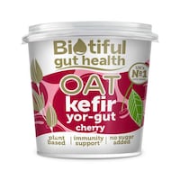 Vegan Probiotic Yogurt Products Image 1
