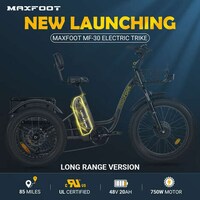 Stability-Focused E-Bikes Image 1