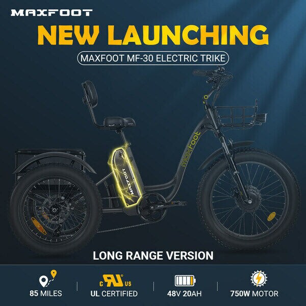 Stability-Focused E-Bikes