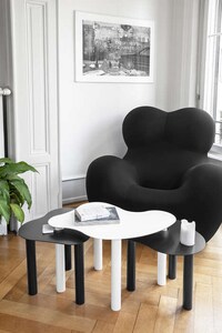Organic Abstract Furniture Series Image 3