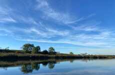 Landfill-Transformed Wetland Parks