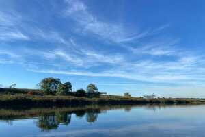 Landfill-Transformed Wetland Parks Article Thubnail