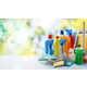 Sustainable Cleaning Brands Image 1