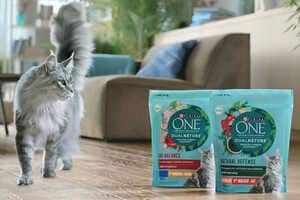 Carbon-Reduced Cat Foods Article Thubnail