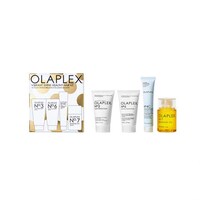 Holiday Hair Repair Kits