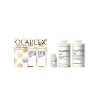 Holiday Hair Repair Kits Image 4