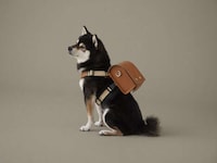 Demure Doggy Backpacks Image 1