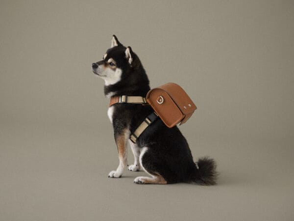 Demure Doggy Backpacks