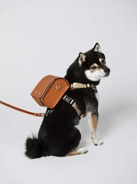 Demure Doggy Backpacks Image 2
