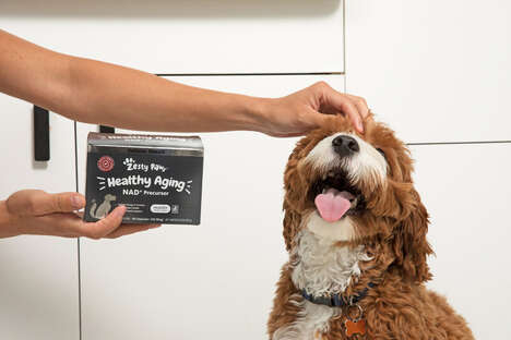 Cellular Health Dog Supplements