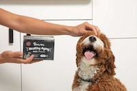 Cellular Health Dog Supplements Image 1