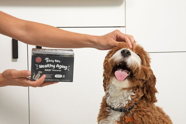 Cellular Health Dog Supplements
