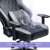 Fan-Equipped Leather Chairs