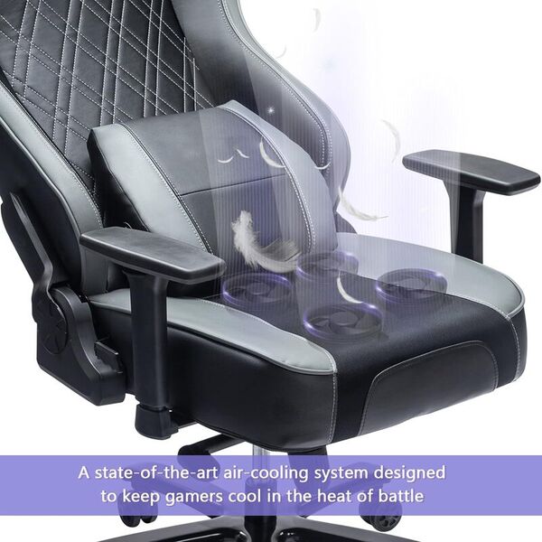 Fan-Equipped Leather Chairs