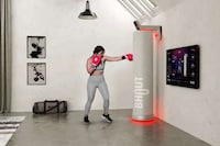 AI-Powered Boxing Bags Image 1