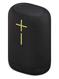 Loud Oval-Structured Speakers Image 2