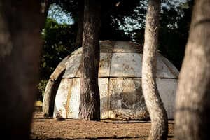 Biodegradable Mycelium Living Structures Article Thubnail