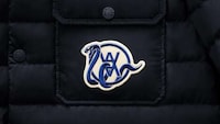 Sporty Luxurious Down Jackets Image 1