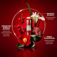 Festive Beauty Packaging Image 2