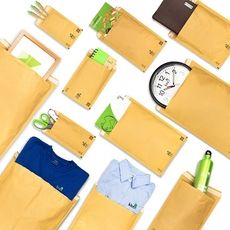 Recyclable Bubble Mailer Envelopes Article Thubnail