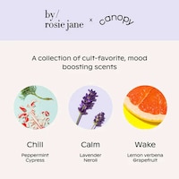 Multi-Device Fragrance Oils Image 2
