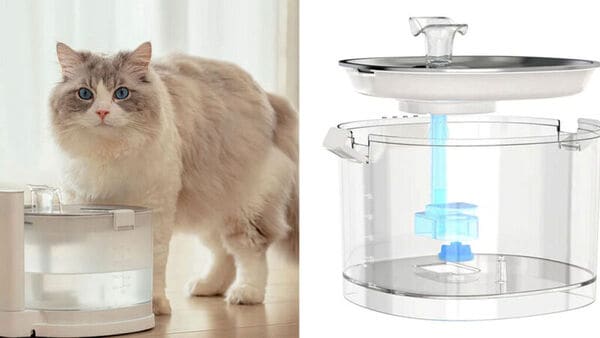 Pump-Free Pet Fountains