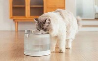Pump-Free Pet Fountains Image 2