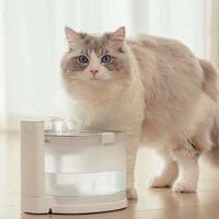 Pump-Free Pet Fountains Image 4