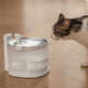 Pump-Free Pet Fountains Image 5