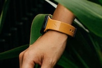 Plant-Based Leather Smartwatch Bands Image 1
