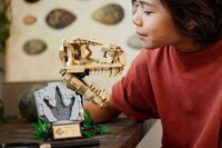 Dinosaur Fossil Puzzle Sets Image 2