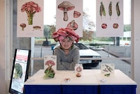 Hybrid Meat Vegetable Concepts Image 3