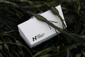 Seaweed-Made Packaging Solutions Article Thubnail