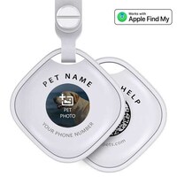 Personalized Pet-Tracking Tags Image 2