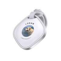 Personalized Pet-Tracking Tags Image 3