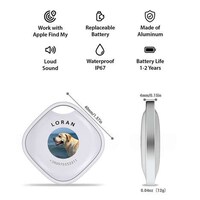 Personalized Pet-Tracking Tags Image 4