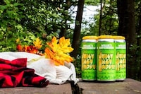 IPA-Style Hard Seltzers Image 1