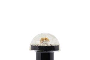 Electric Floral Fragrances: Dauphinette 369 Eau de Parfum is Packaged ...