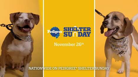 Nationwide Pet Adoption Events