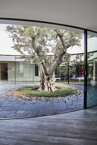Modern Ruin-Inspired Californian Homes Image 2