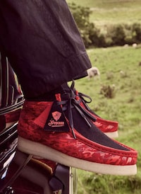 Singer-Inspired Vibrant Footwear Image 2