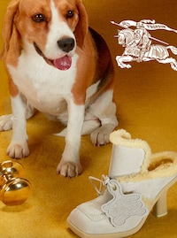 Adorable Holiday Campaigns Image 2