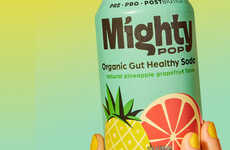 Organic Gut Health Refreshments