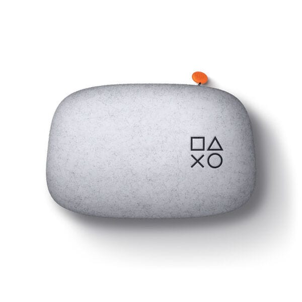 Dedicated Controller Carrying Cases