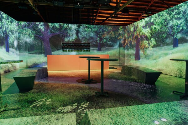 Next-Gen Whiskey Bars