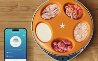 Self-Chilled Automated Pet Feeders