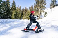 Snow Scooter Conversion Kit Image 4