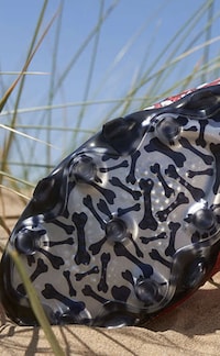 Pet-Celebrating Sporty Collaborations Image 2